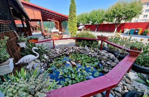 Sovata House | Casa Rica Vendégház