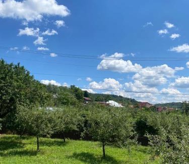 Bertea Villa | Casa Rujoiu