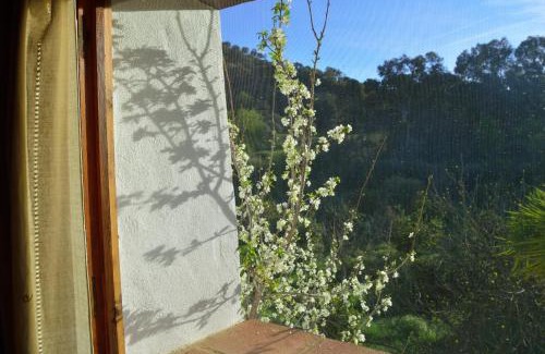 El Colmenar House | Casa Rural Ahoraya