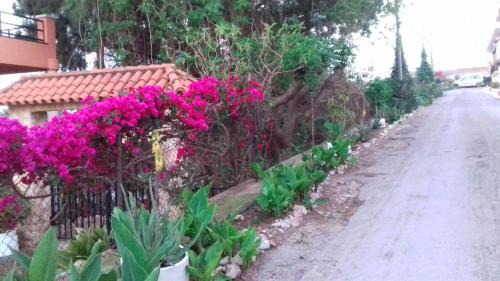 Camarles House | Casa Rural COMPLEX MASIA DEL TREMENDO y Agroturismo