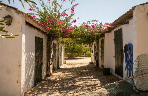 Prado del Rey House | Casa rural el Carmen