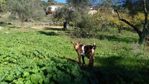 Aracena House | Casa Rural La Era 3 - Adults Only