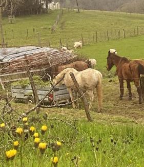 Renteria House | casa rural larre aundi