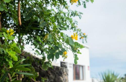 Tajaste House | Casa Rural Yeyo en el cráter del volcán
