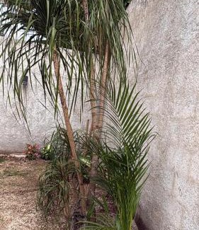 Chichen Itza - Valladolid House | Casa San Isidro