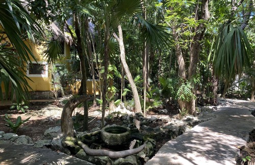 Zazil-ha Villa | Casa Selva, nestled in one of the few remaining pieces of jungle