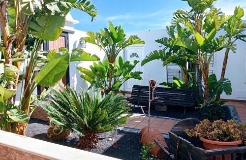 Nazaret Villa | Casa Strelitzia