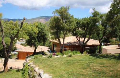 Afa House | casa suara