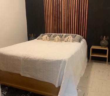 Juarez Municipality Apartment | Casa Tacambaro, minutes from the Consulate