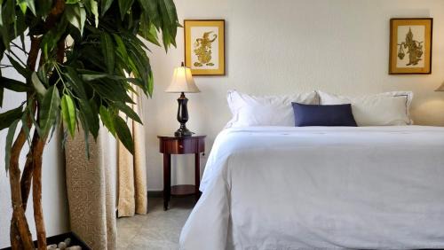 Santa Catarina House | Casa Tamayo