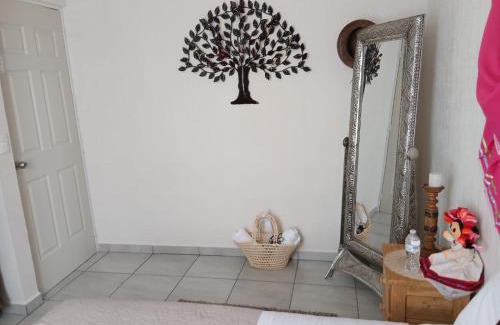 Queretaro House | Casa Termar