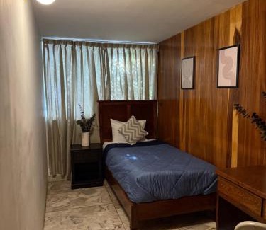 Colonia Cuauhtemoc House | Casa Tigris