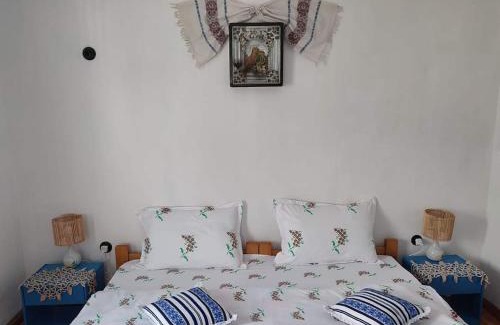 Murighiol House | Casa Traditionala Clisciova