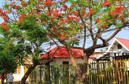 Aracataca House | Casa Turística Realismo Mágico
