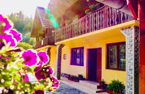 Cartisoara Cabin | Casa Ursu