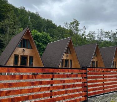 Cartisoara Cabin | Casa Ursu