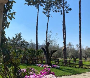 Albanella House | Casa Vacanza Capozzoli