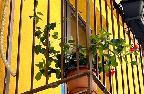 Motta Camastra Apartment | CASA VACANZE "ANTICO BORGO A DUE PASSI DALLE GOLE ALCANTARA" APPARTAMENTO ULIVO