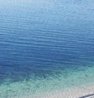 Bisceglie Apartment | Casa vacanze Fiorenza