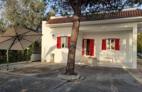 Galatina Apartment | Casa Vacanze "Lo Vita" Appartamento "Sara"