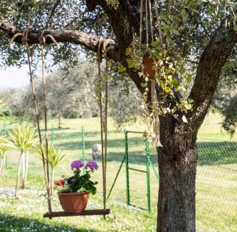 Ameglia House | Casa Vacanze Oleandri