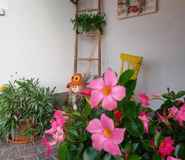 Romeno Apartment | Casa Vacanze Paola