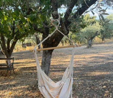 Velletri House | Casa Vacanze Podere Radici