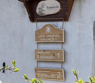 Sutrio Apartment | Casa Vacanze Ranuncolo 1
