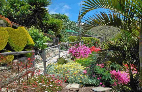 El Jaral House | Casa Verde