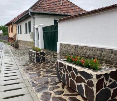 Arpasu de Sus House | Casa Veronica