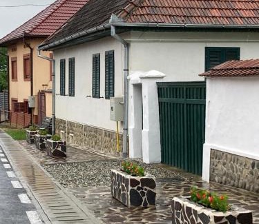 Arpasu de Sus House | Casa Veronica