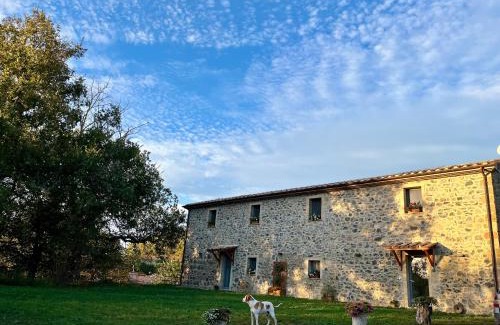 Orvieto House | Casa Vespina Agriturismo Biologico