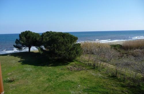Moriani-Plage Apartment | Casa Virginia