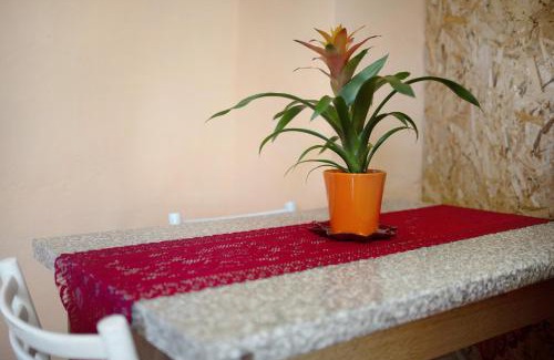 Vallebona Apartment | Casa Vita