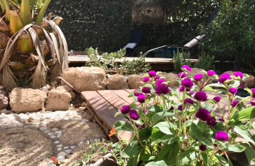Granadilla de Abona House | Casa VivaQi Tenerife