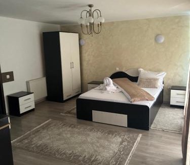 Gura Humorului House | Casa Voroneț