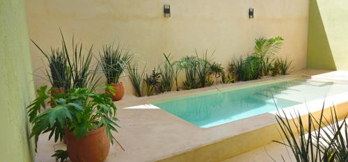 Chichen Itza - Valladolid House | Casa Zogo Origen