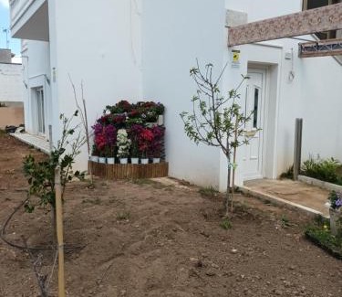 Felline House | Casabianca
