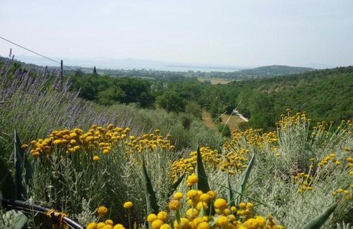 Tuoro sul Trasimeno Apartment | casaemilia2