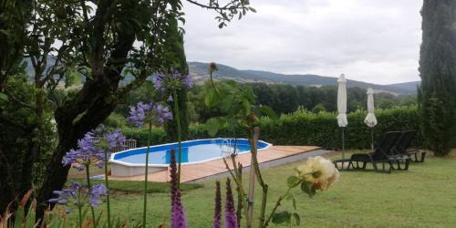 Acquapendente Apartment | Casale la COLLINA DEI CILIEGI