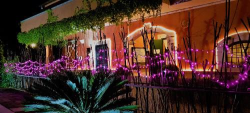 Terlizzi Bed & Breakfast | Casale Terra Sole B&B