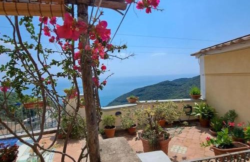 Albori House | CasaToccacielo - Amalfi Coast