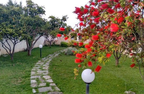 Trepuzzi House | casavacanza nel salento