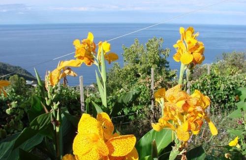 Bonassola House | Case vacanza Reggimonti Cinque Terre