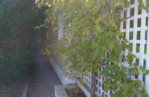 El Palmar Cottage | Casita Chau, Stylish 1 bedroom wooden house.