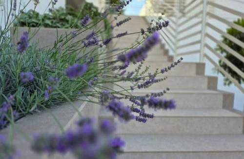 Vieste House | Casita Isabella