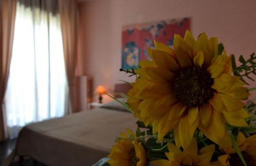 Catanzaro House | Cassiodoro Rooms Affittacamere