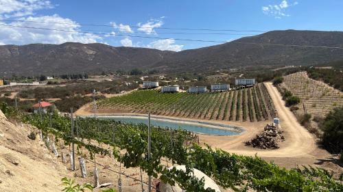 Valle de Guadalupe Hotel | Castillo Toscana Hotel Boutique
