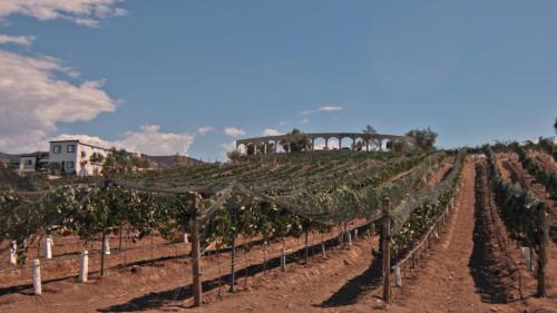Valle de Guadalupe Hotel | Castillo Toscana Hotel Boutique