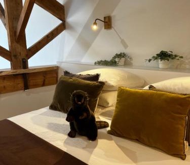 Aubagne Apartment | Castor Coquin Aubagne Cassis Aix en Provence